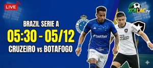 Trực tiếp Cruzeiro vs Botafogo 05:30 ngày 05/12: Chủ nhà thị uy – Link Xoilac Full HD
